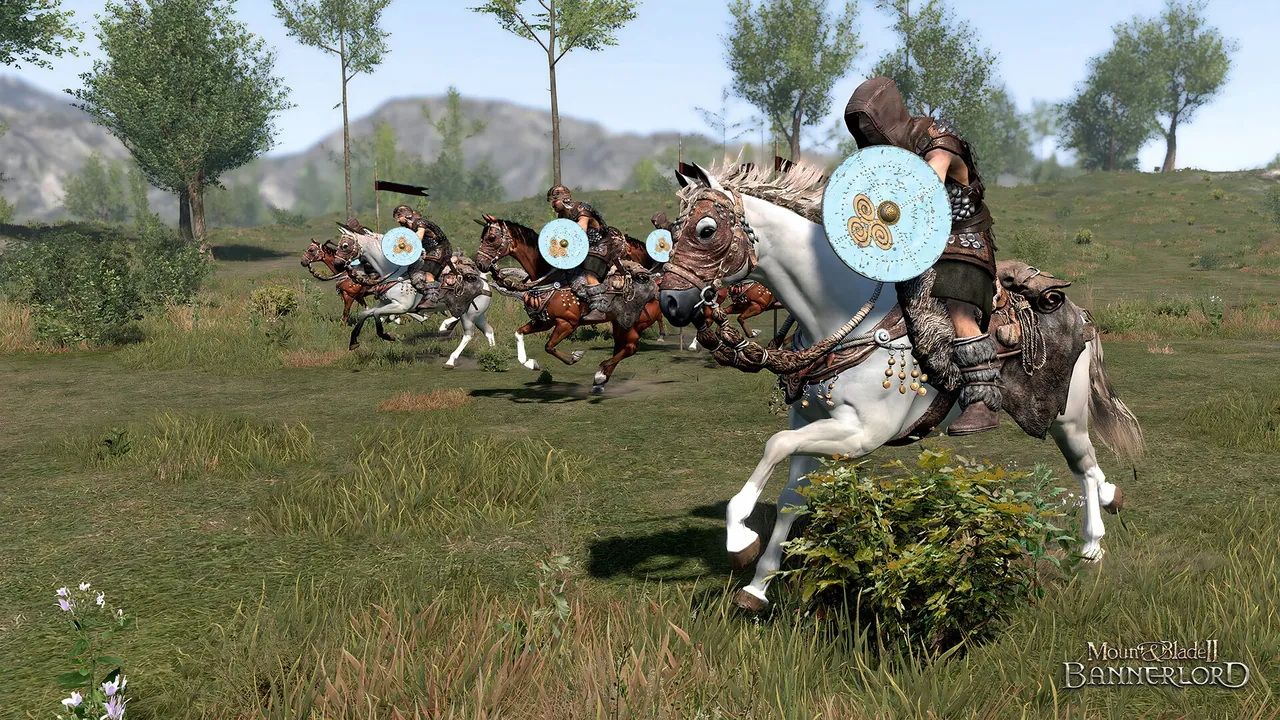 Bannerlord battle line on a multiplayer map